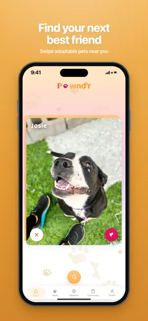 Pawndr screenshot 1