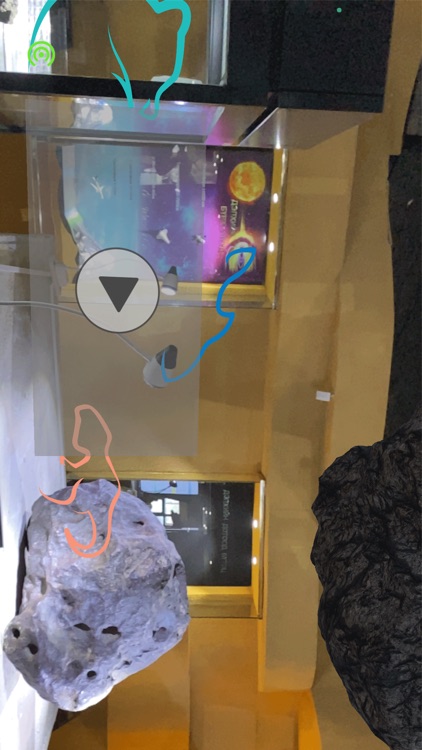 Байгалийн Түүхийн Музей screenshot-7