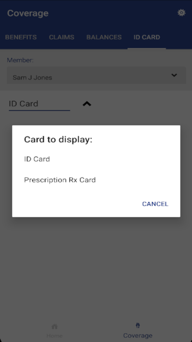 Automated Benefit Services Screenshot