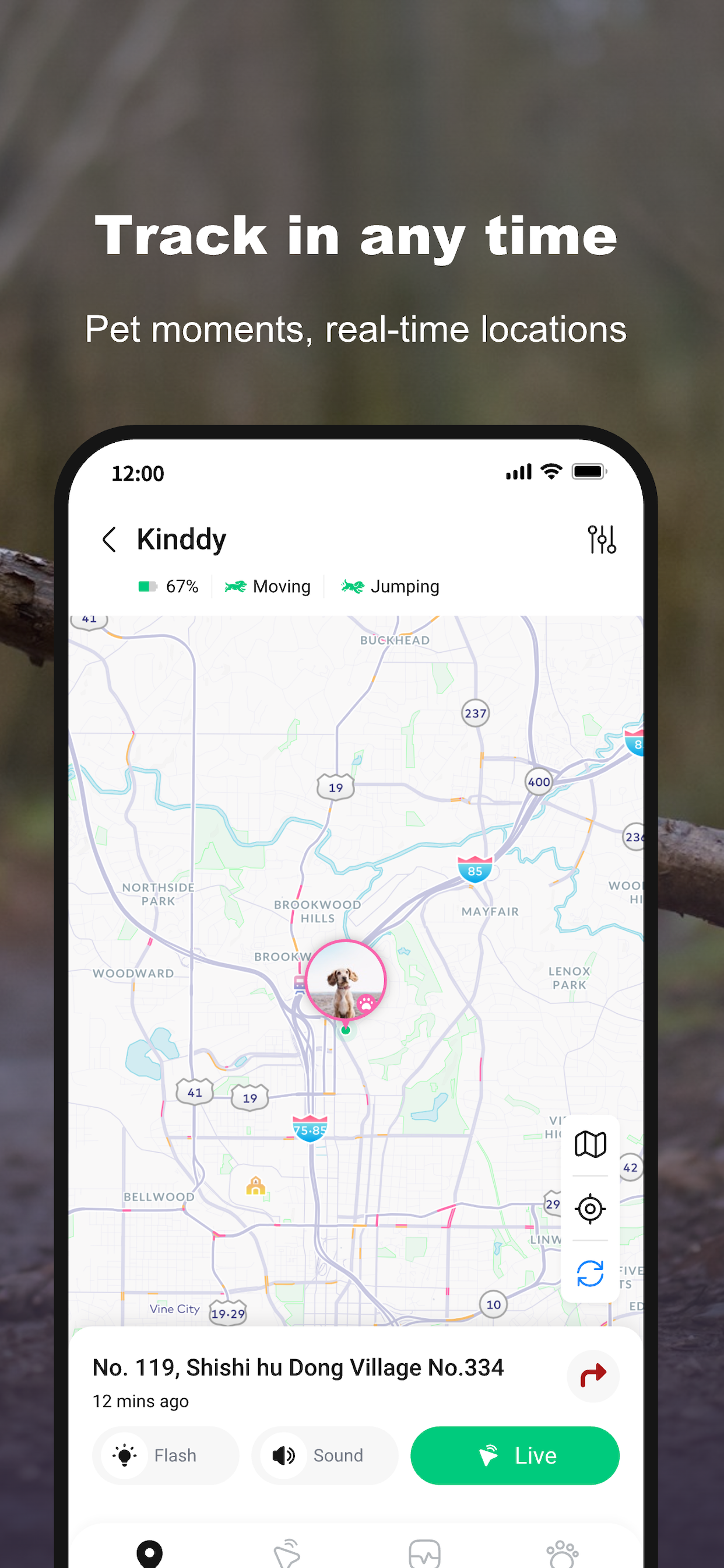 AQUITOYDOG screenshot 4