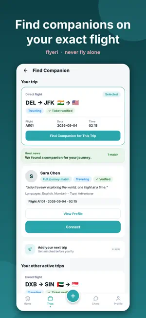 Flyeri screenshot 1