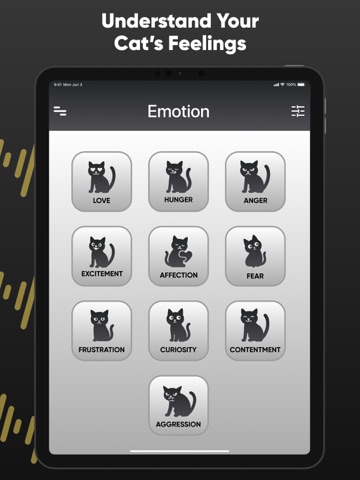 NeowTalk: Cat Translator iPad screenshot