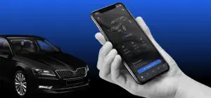 Zlink5 Car-Play Sync & Connect screenshot 1