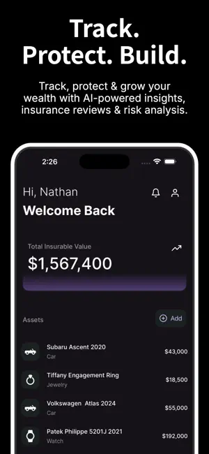 Asset Pro screenshot 1