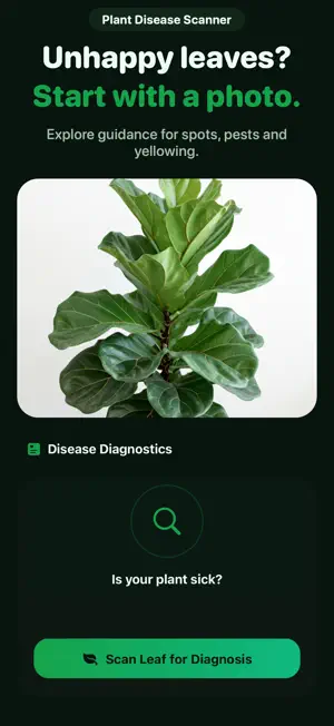 Plant Finder: Tree Scanner screenshot 4