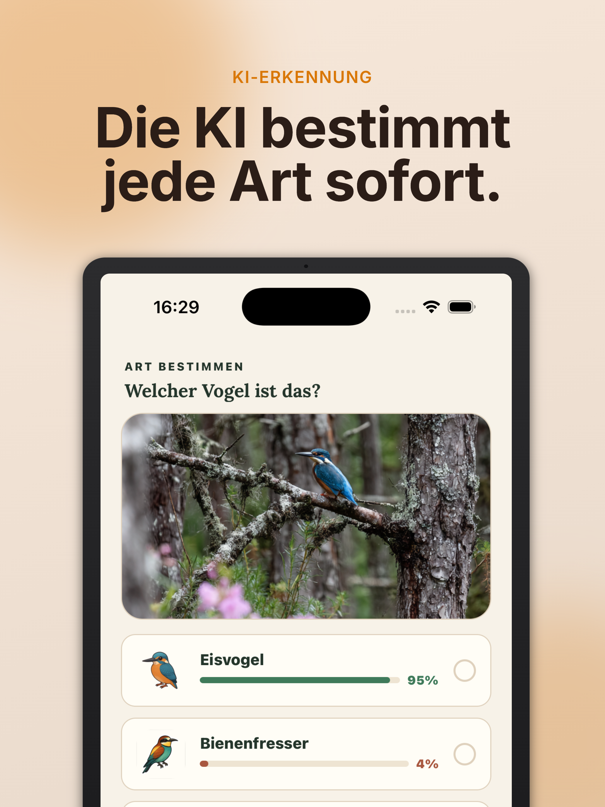 BirdySnap screenshot 9