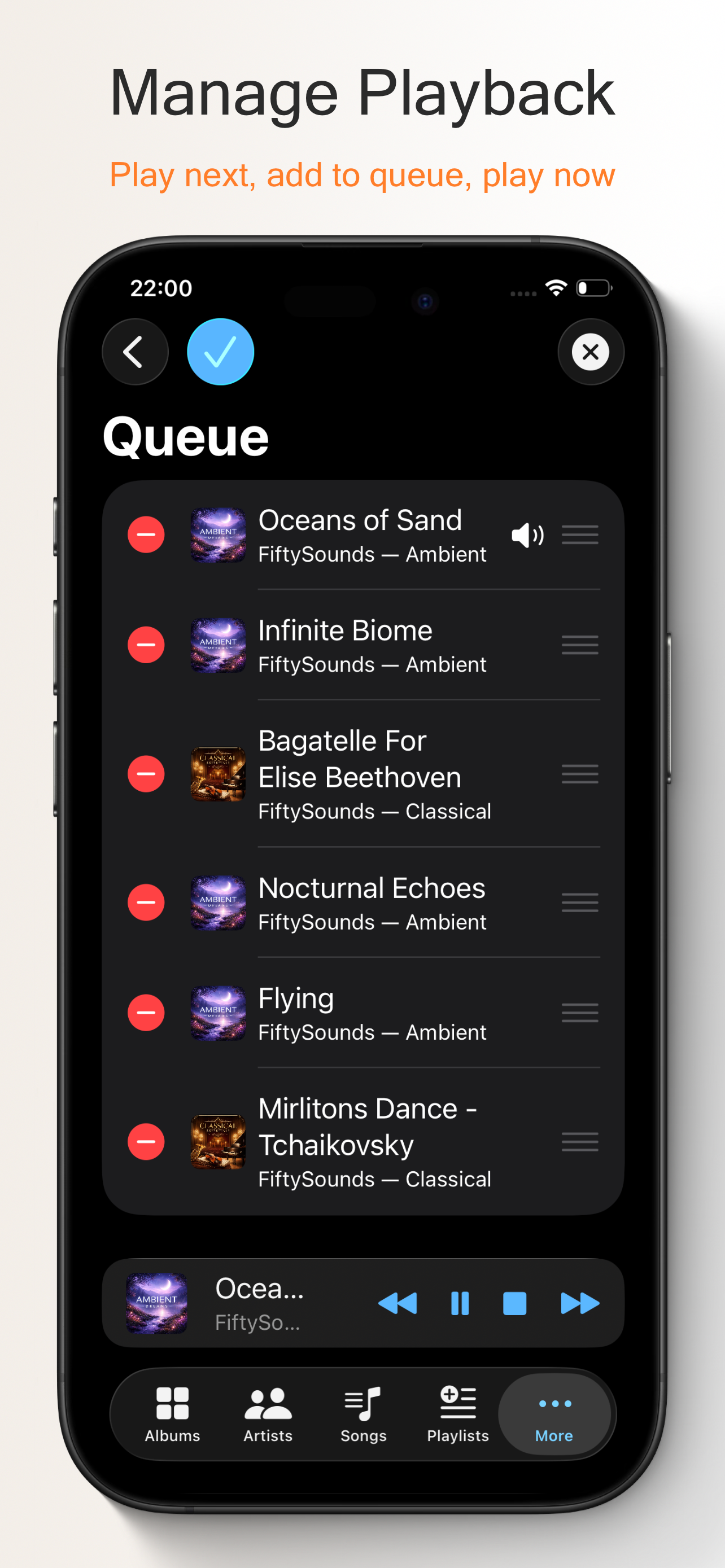 Off-Grid Music Player screenshot 3