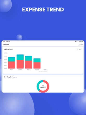 catetin.ai iPad screenshot