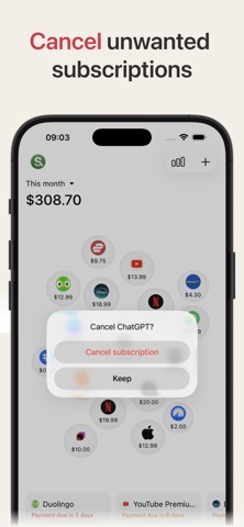 Subscription Manager & Refund screenshot 4