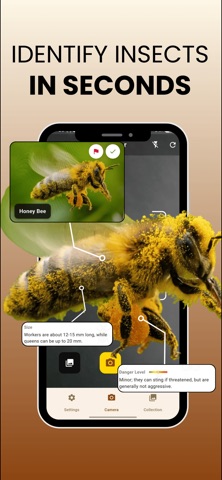 Spider Identifier: Bug ID iPhone screenshot