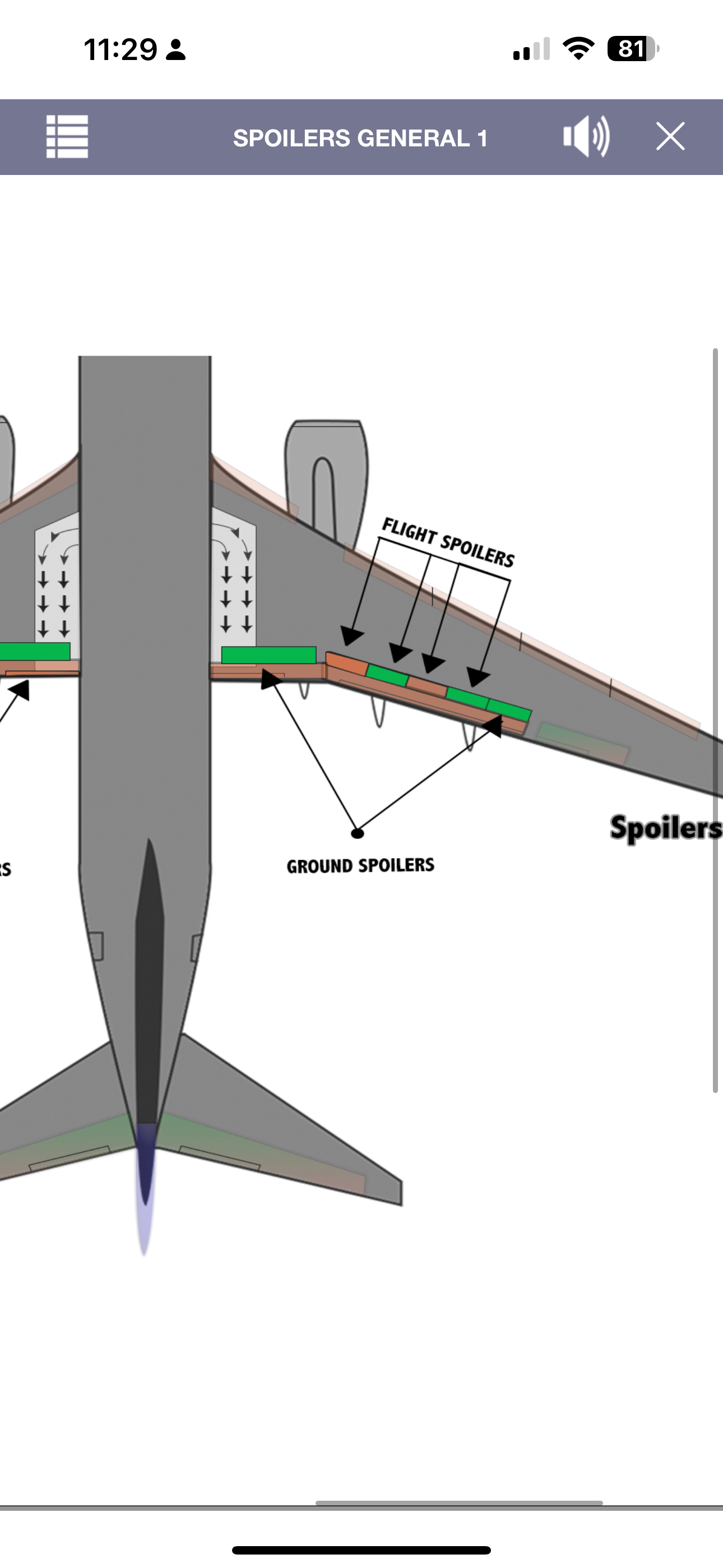 737 Virtual Panel LITE
