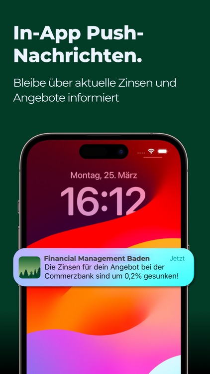 Financial Management Baden screenshot-4