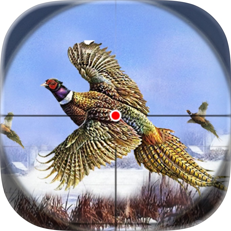 Caza de Aves: Francotirador screenshot 5