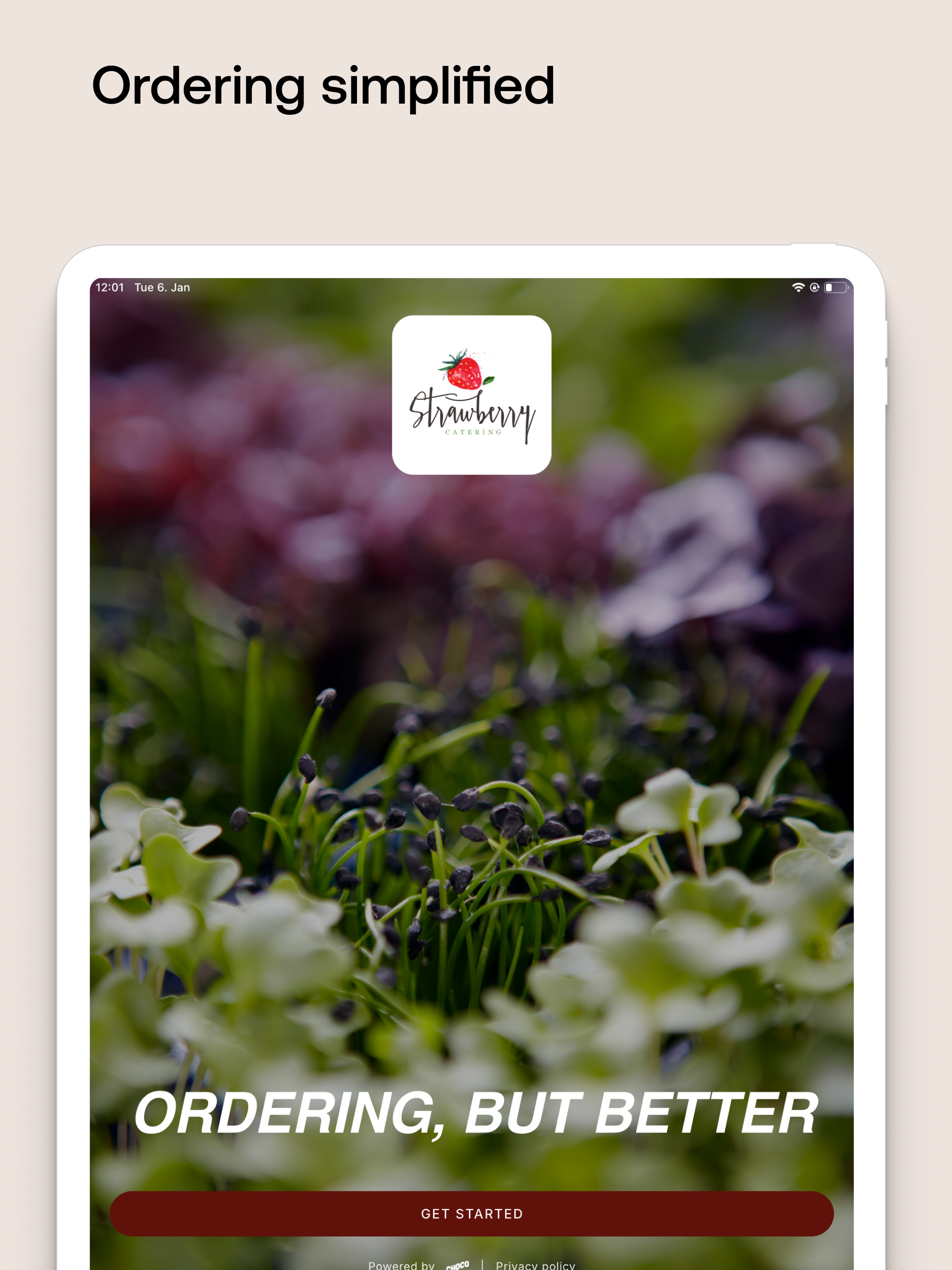 Strawberry Catering