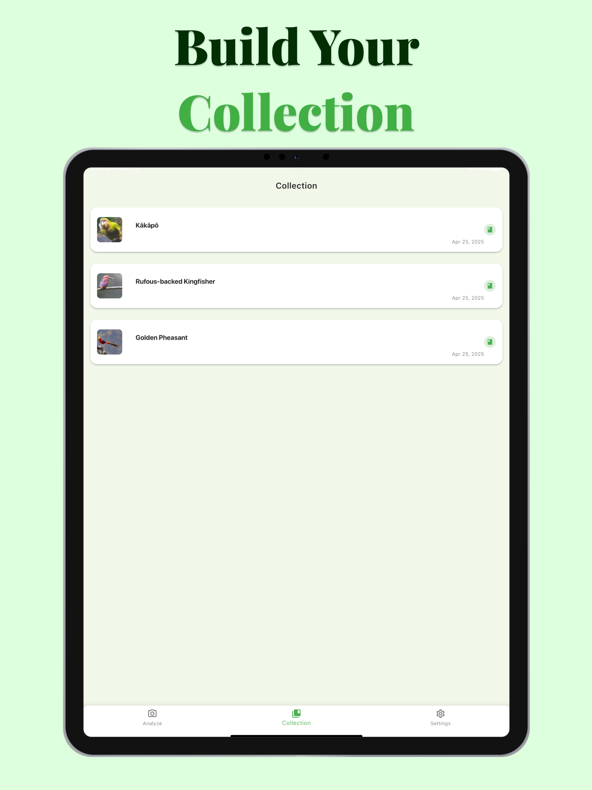 Bird Identifier - BirdSnap screenshot 10