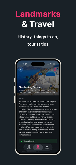 Identify This: AI Identifier Screenshot 5 of 10