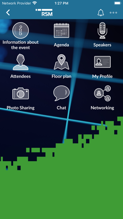 RSM International Screenshot