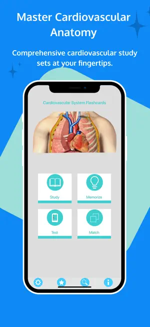 Circulatory System Flashcards screenshot 1