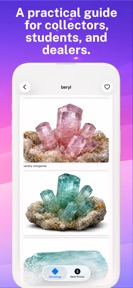 Gemvol: Pocket Gemology screenshot