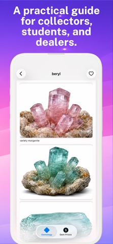 Gemvol: Pocket Gemology screenshot
