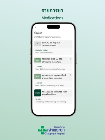 Chaophya Connect iPad screenshot 3