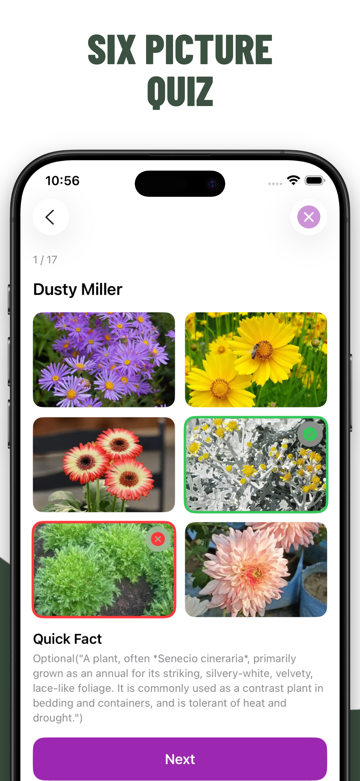 Flowers Quiz Identify Types screenshot 5