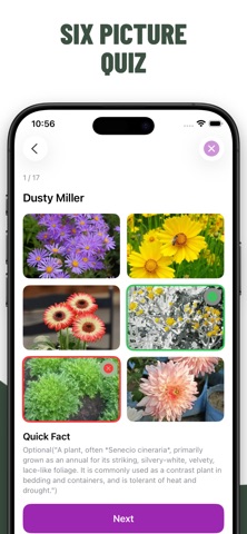 Flowers Quiz Identify Types screenshot