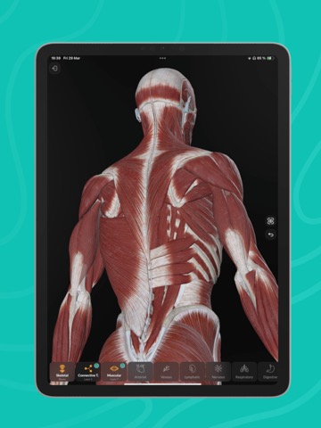 Easy Anatomy 3Dのおすすめ画像8