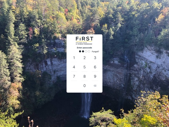 FNBMT iPad screenshot 2 - Finance app