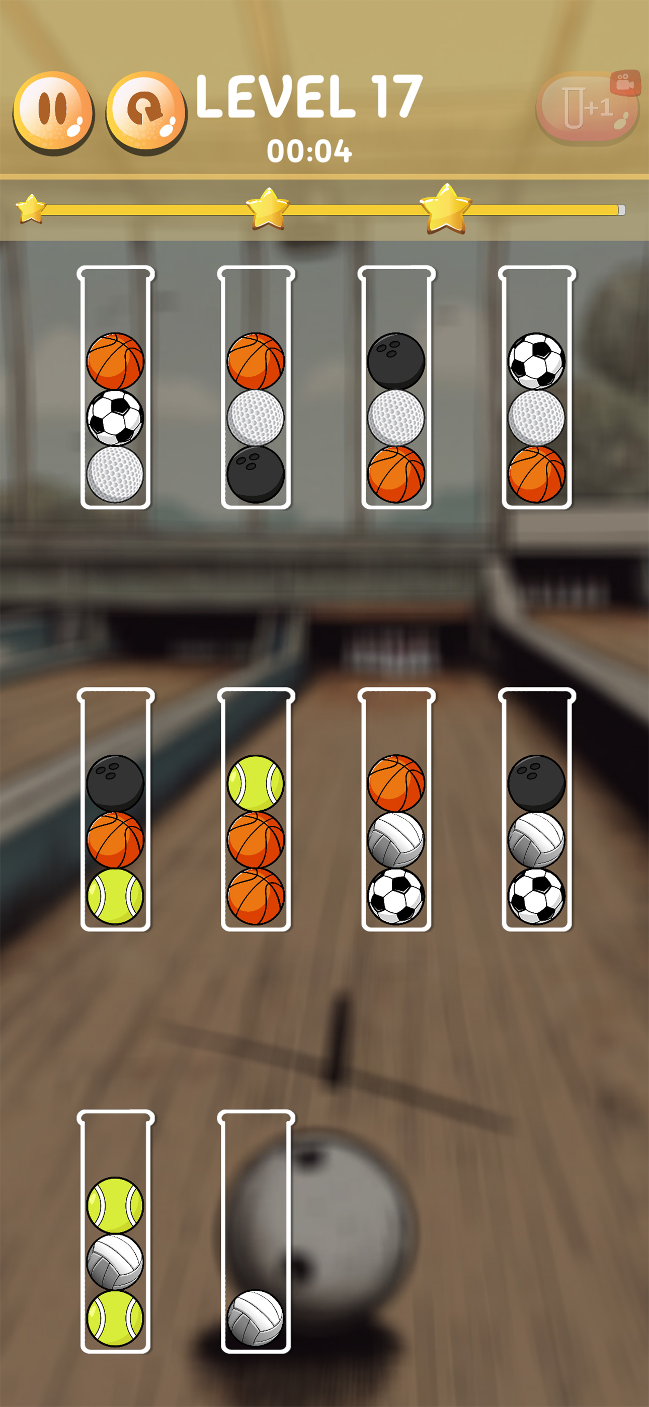 Sport Color Sort Puzzle
