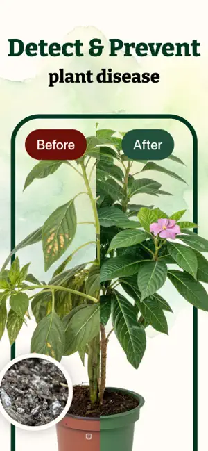 Leafy: Plant Identifier & Care screenshot 3