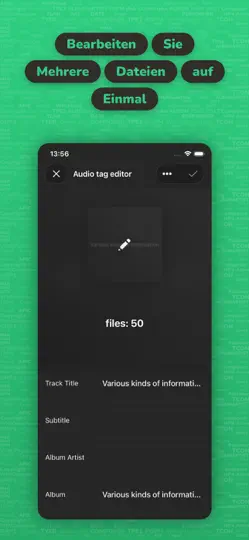 Screenshot von Evertag: Musik Tag Editor auf dem iPhone 3