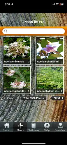 230x499bb.webp
