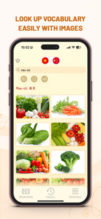 Chivi Dict: Chinese Vietnamese screenshot 2