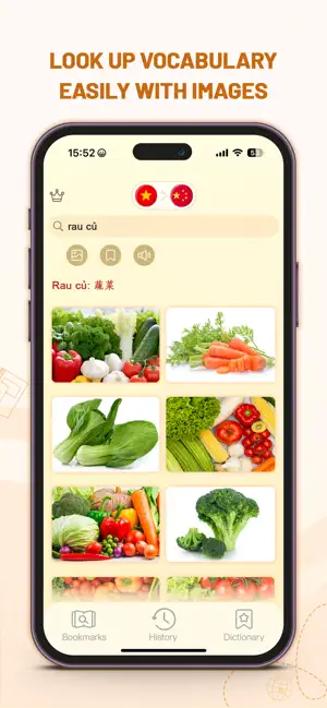 Chivi Dict: Chinese Vietnamese screenshot 2