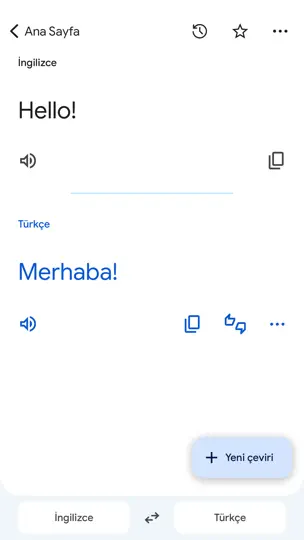 Google Çeviri iPhone Ekran Görüntüsü 3