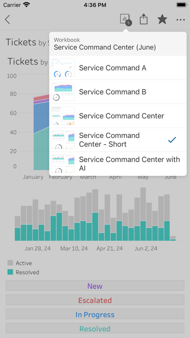 Tableau Mobile for Intune iPhone screenshot 8 - Business app