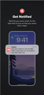 Hopper: Flights, Hotels & Cars screenshot 4