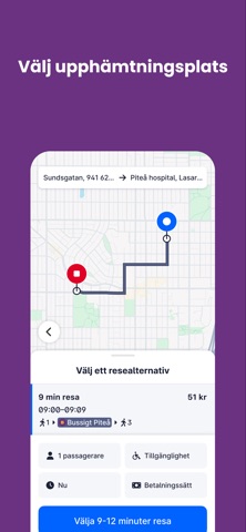 Bussigt Piteå screenshot