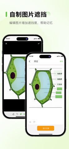 Anymo 记忆卡片考试考研背书背单词 screenshot