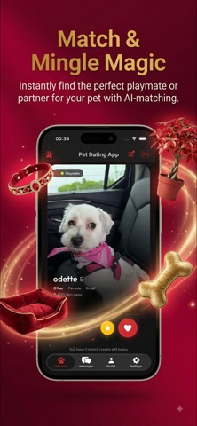Pawder: Pet Date, Play & Chat Screenshot 1 of 3