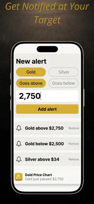 Gold & Silver Price Chart Live screenshot 3