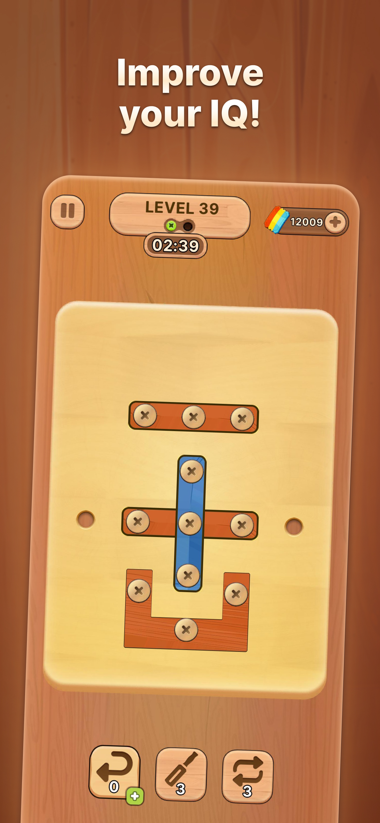 Wood Nuts & Bolts – Jam Puzzle