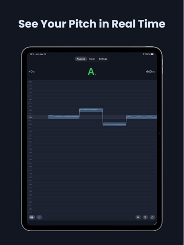 AudioPitch: Pitch Monitor ipad screenshot 2