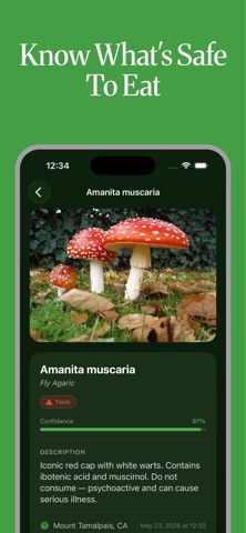 Shroomify: Mushroom ID screenshot