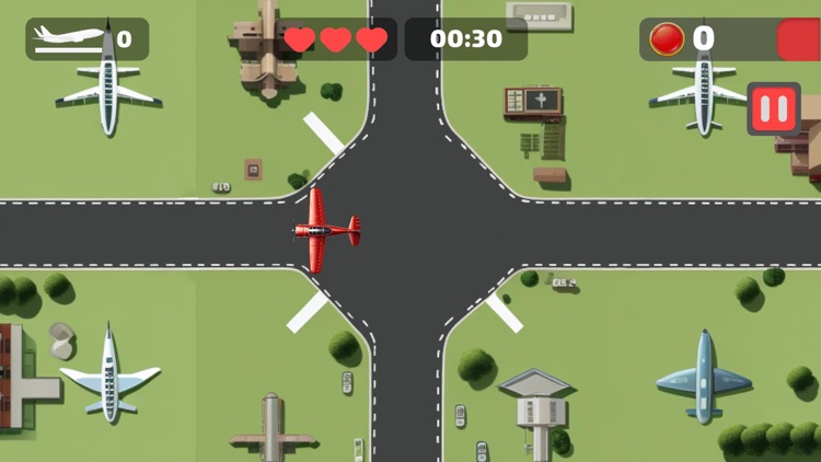 Professional Aviator