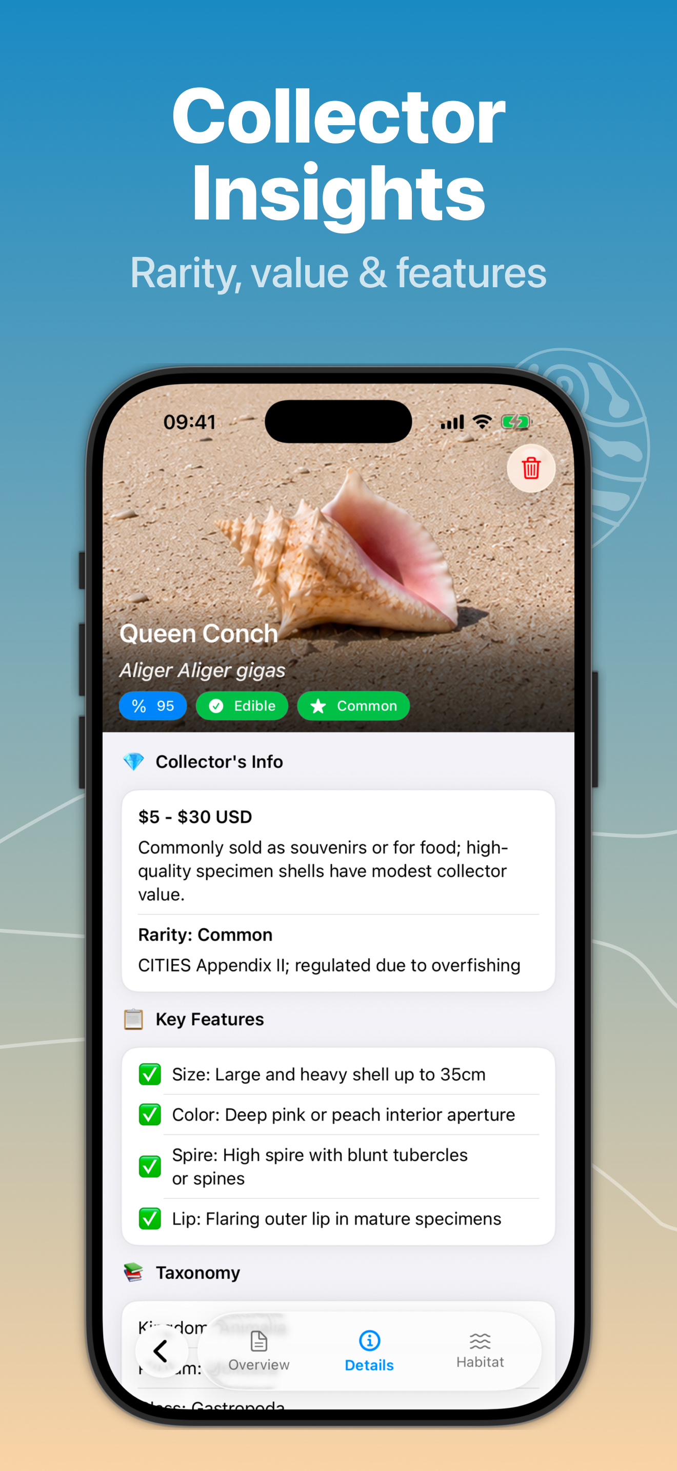 Sea Shell Identifier - AI ID screenshot 4