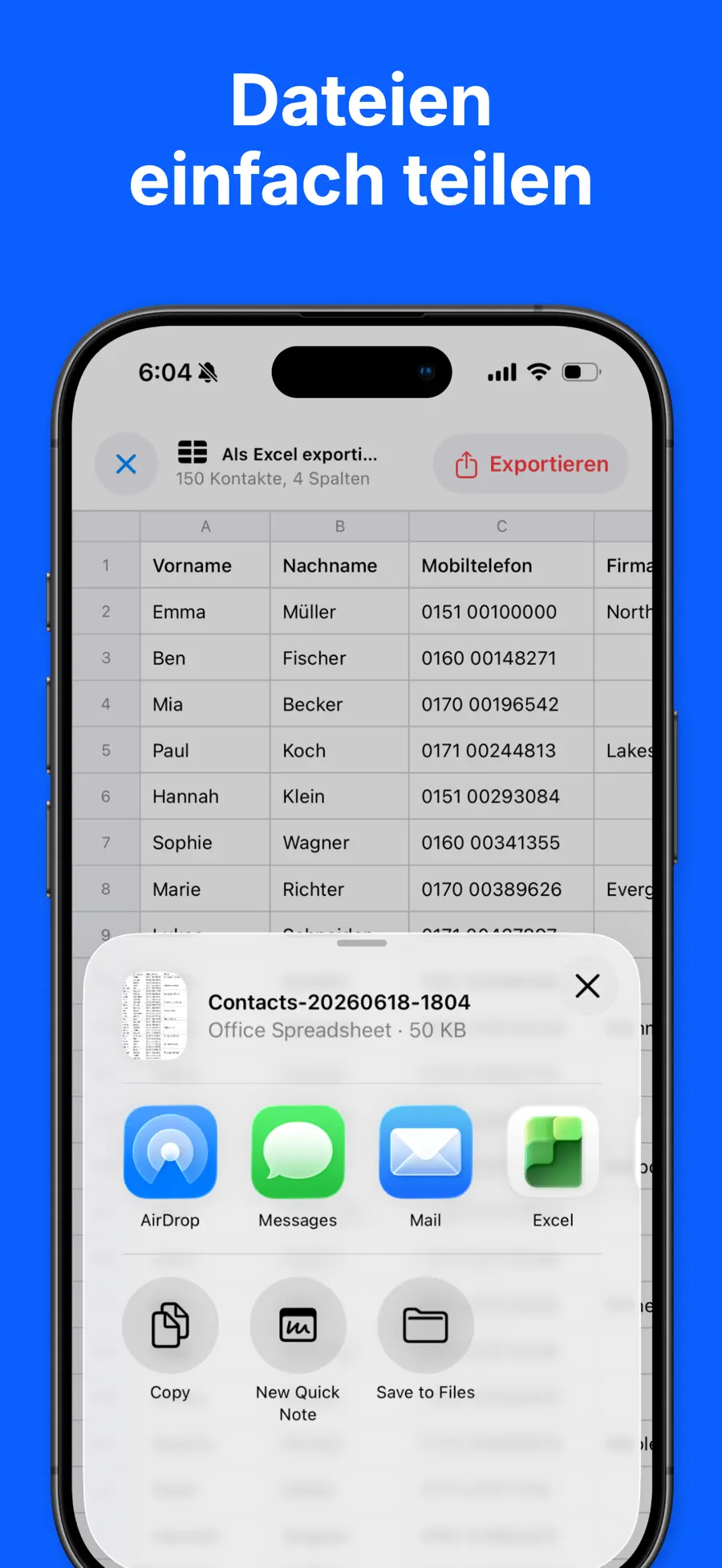 Kontakte Export - Excel CSV screenshot 5