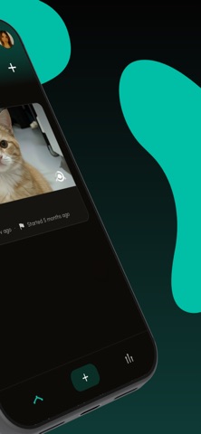 Morphsy Screenshot 2 of 5