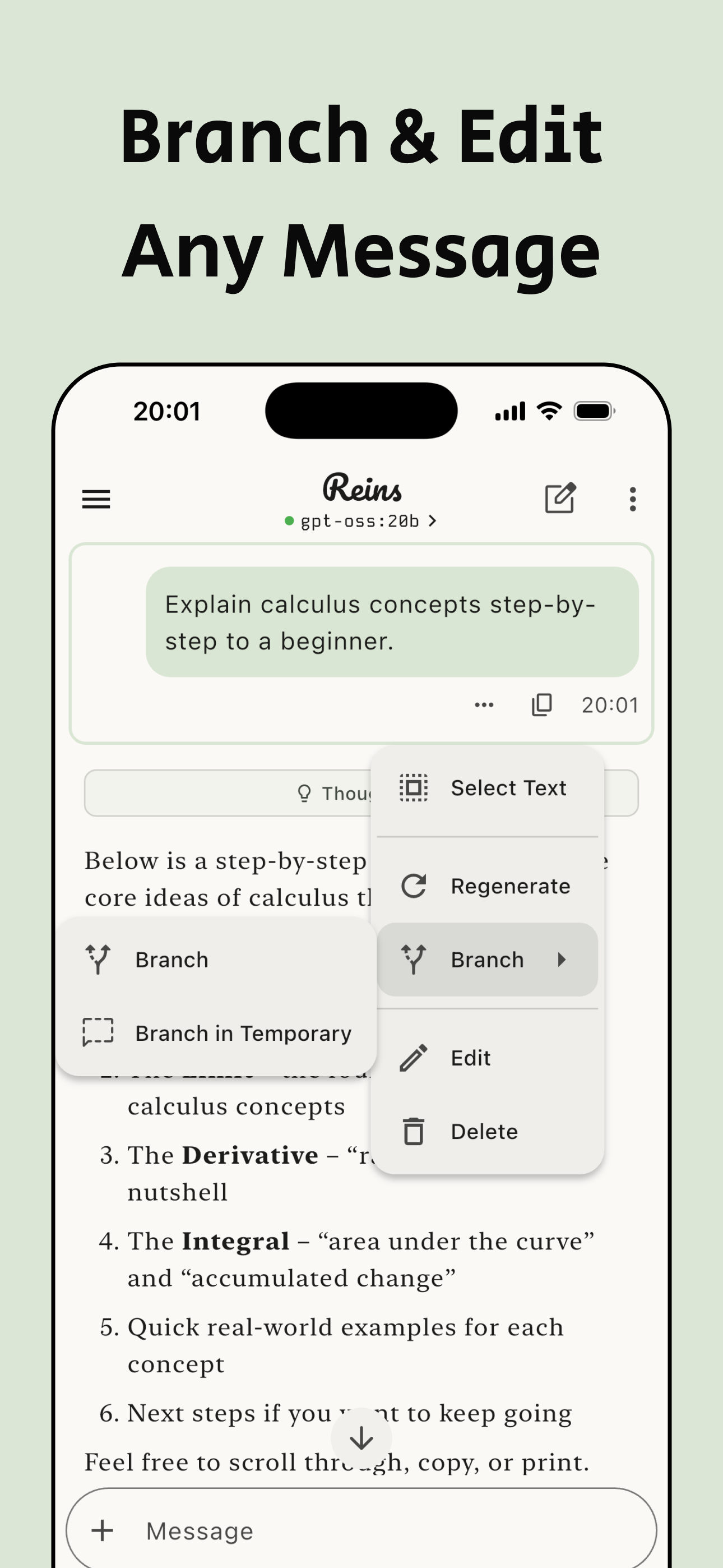 Reins: for Ollama & LM Studio screenshot 6